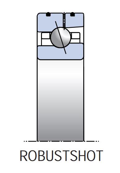 外圈供油軸承(ROBUST SHOT)